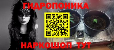 не бодяженный Можга